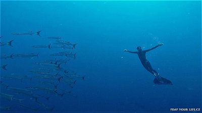 Freediving in Bali: 14-day course with the possibility of completing FII level 1 and 2